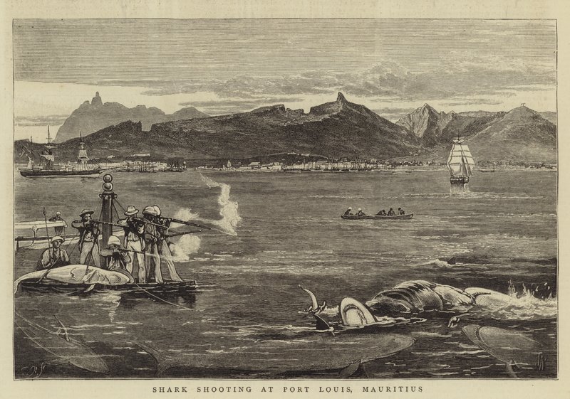 Haiden ammunta Port Louisissa, Mauritiuksella tekijältä Joseph Nash
