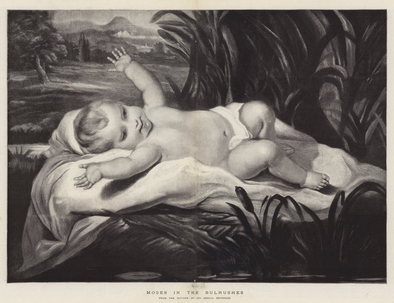 Mooses härkäperhoissa tekijältä Joshua Reynolds
