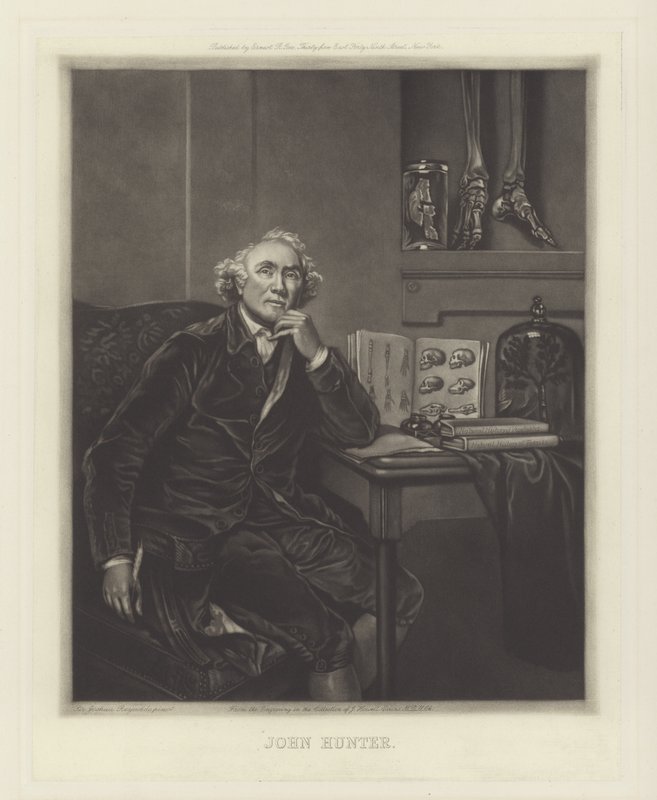 John Hunter, skotlantilainen kirurgi tekijältä Joshua Reynolds