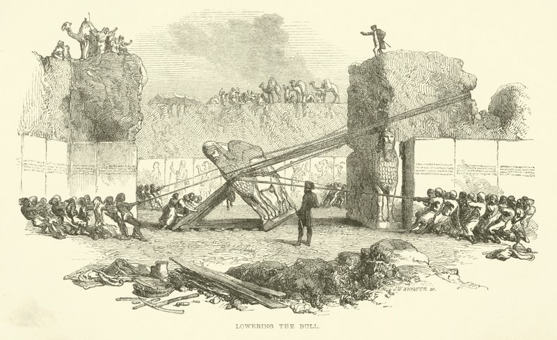 Härän laskeminen tekijältä Josiah Wood Whymper