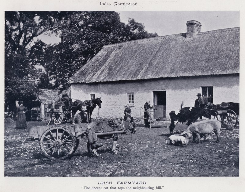 Irish Farmyard (m/w kuva) tekijältä Karl Karlovich Piratsky