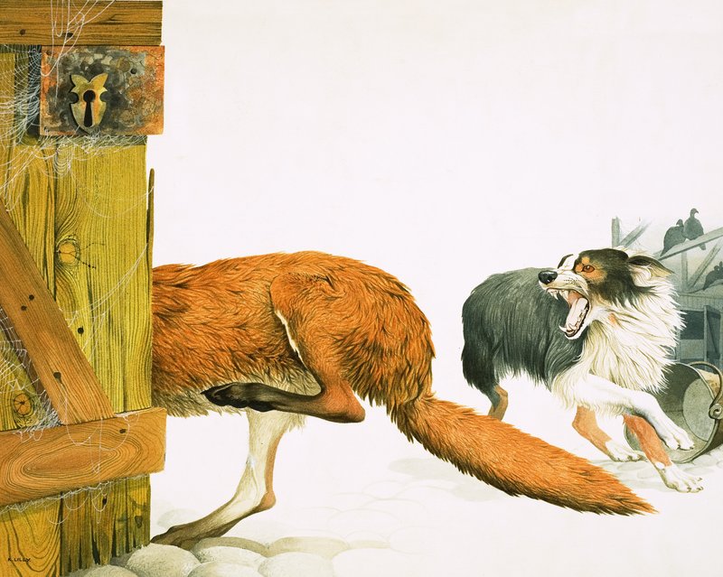 Collie-koira ajaa ketun karkuun tekijältä Kenneth Lilly