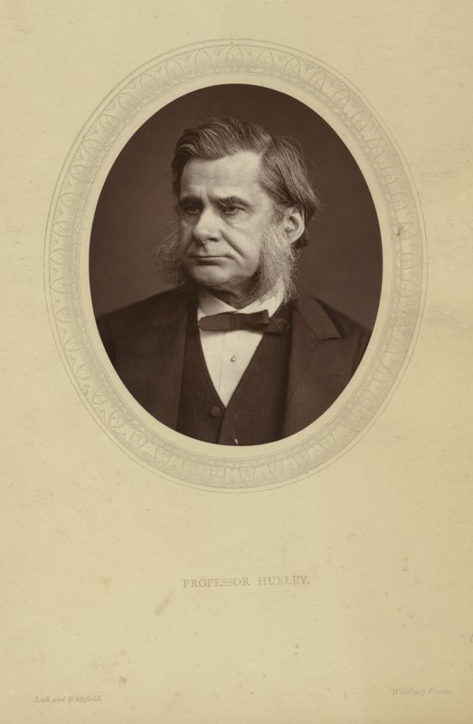 Thomas Henry Huxleyn muotokuva tekijältä Lock and Whitfield