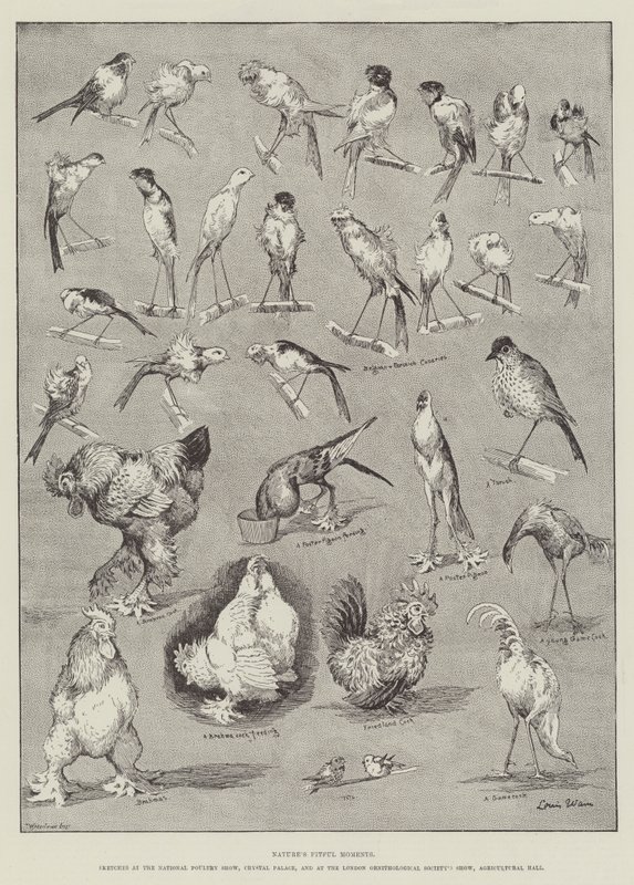 Luonnon mukavia hetkiä tekijältä Louis Wain