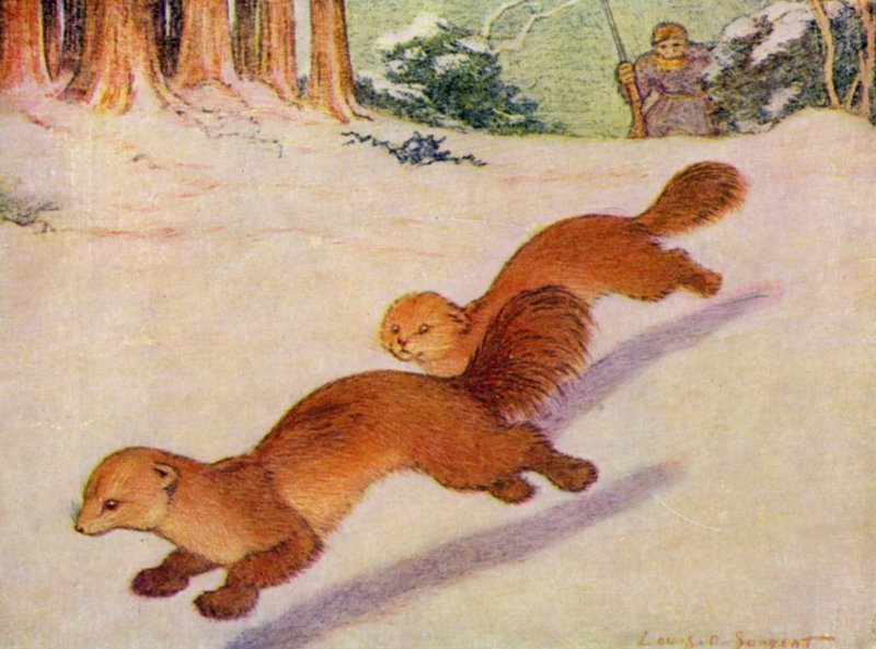 Eläintarhassa: Martens (väri litho) tekijältä Louis Augustus Sargent