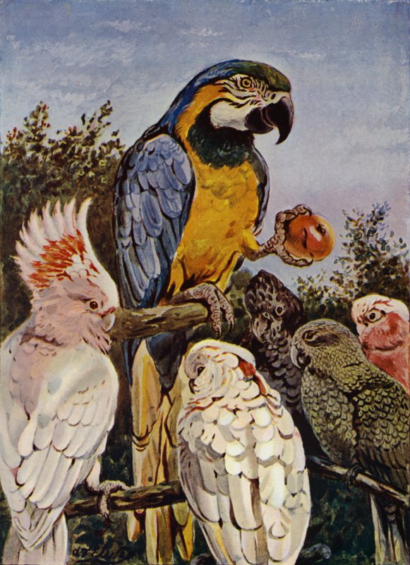 "Kuka puri omenaani?" (väri litho) tekijältä Louis Fairfax Muckley