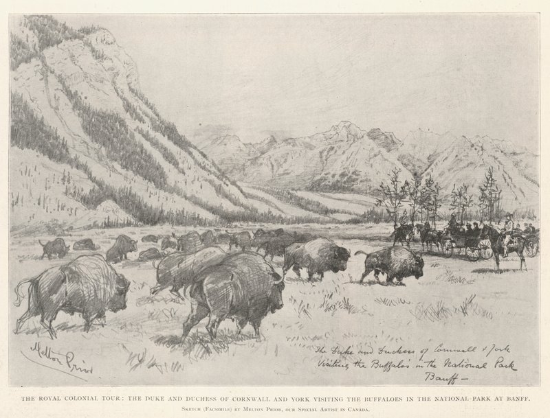 Royal Colonial Tour, Cornwallin ja Yorkin herttua ja herttuatar vierailevat Buffaloesissa Banffin kansallispuistossa tekijältä Melton Prior