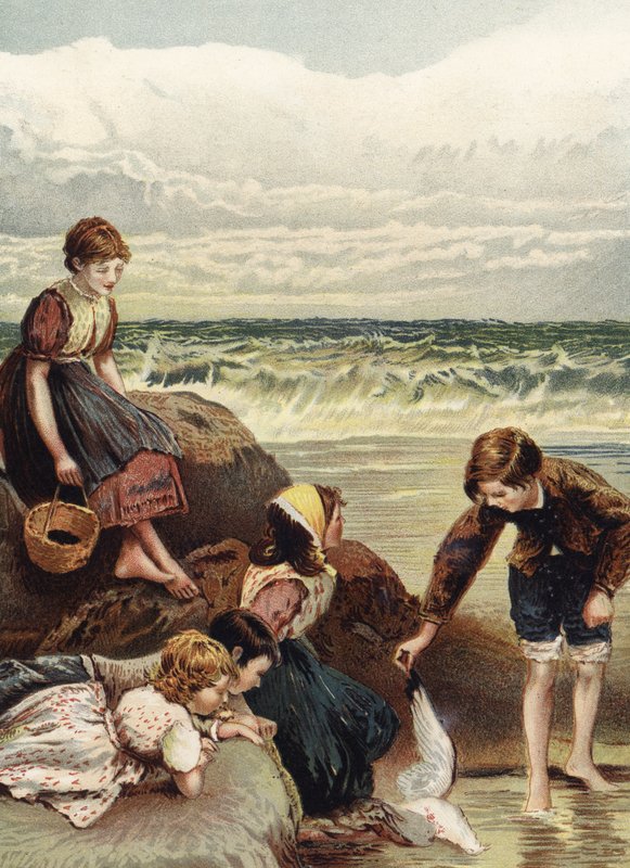 Kesän ilot tekijältä Myles Birket Foster