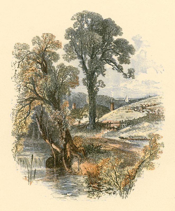 Luonnon kauneudet tekijältä Myles Birket Foster
