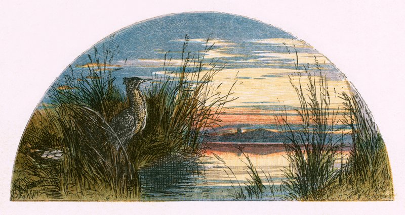 Kuvitus "Autioitu kylä" tekijältä Myles Birket Foster