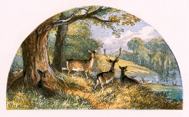 Kuvitus "Autioitu kylä" tekijältä Myles Birket Foster