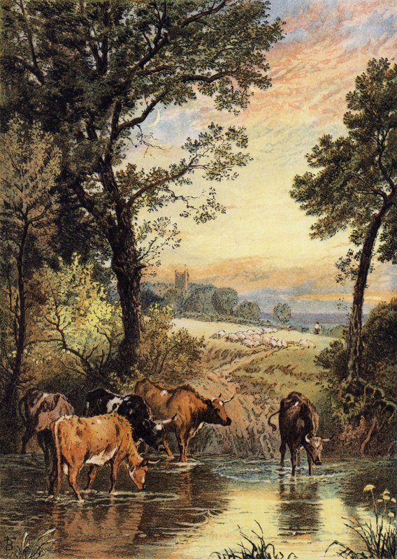 Kesä Ilta tekijältä Myles Birket Foster