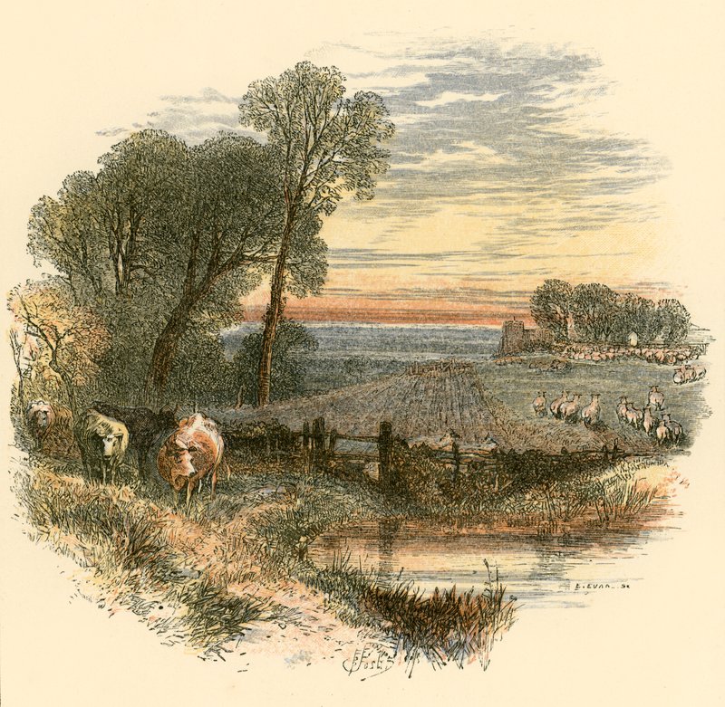 sunnuntai tekijältä Myles Birket Foster