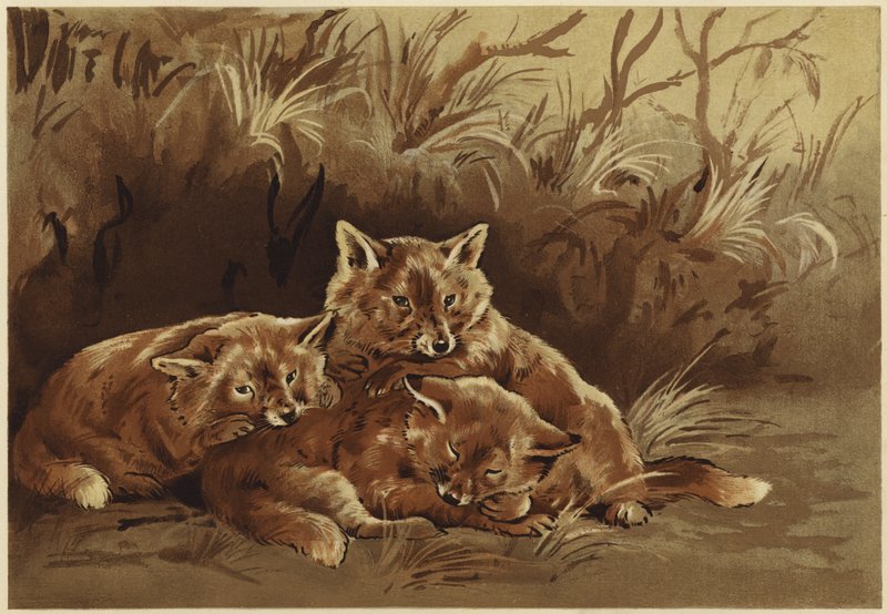 Ryöstöjen luola (litho) tekijältä N. Parker