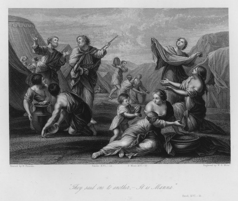 Mannan kerääminen, Exodus XVI tekijältä Nicolas (after) Poussin