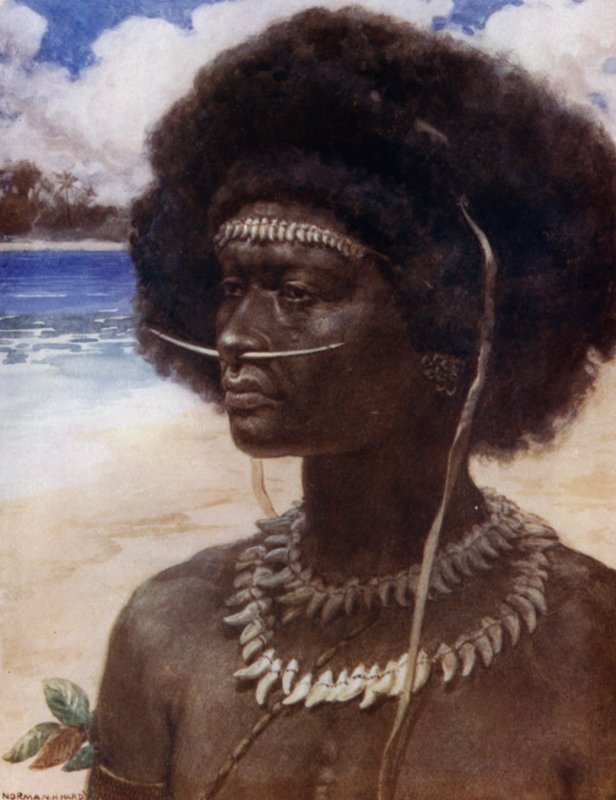 Uusi Guinea Dandy (väri litho) tekijältä Norman Hardy