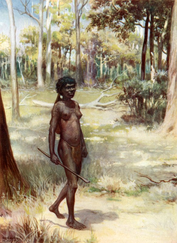 Queenslandin nainen: Australia tekijältä Norman Hardy