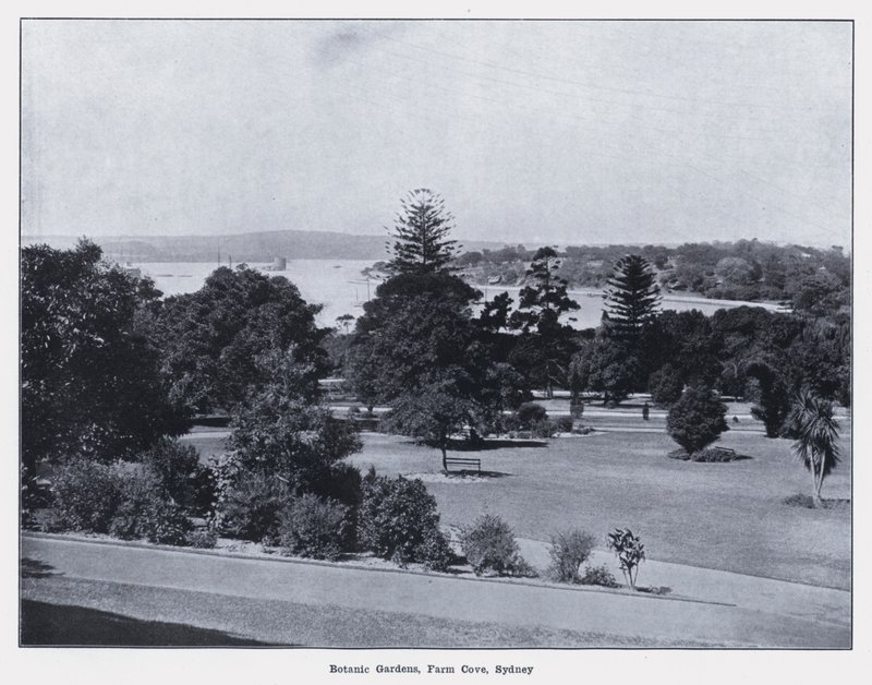 Kasvitieteellinen puutarha, Farm Cove, Sydney (m/v kuva) tekijältä Photographer Australian