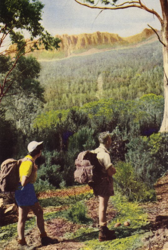 Tasmania: Vaeltajia lähellä Olympus-vuorta (värikuva) tekijältä Photographer Australian