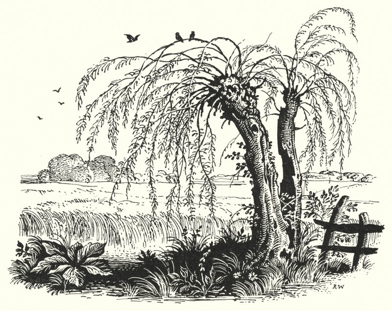 Hans Christian Andersen: Tattari (litho) tekijältä Rex (after) Whistler