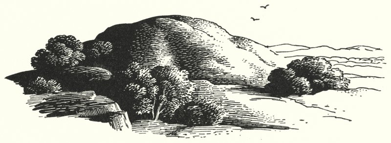 Hans Christian Andersen: Haltioiden vuori (litho) tekijältä Rex (after) Whistler