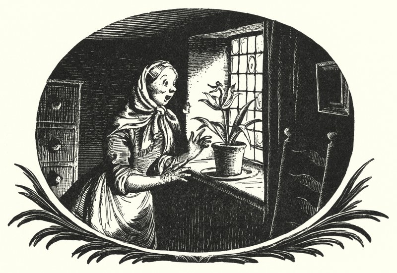 Hans Christian Andersen: Thumbelina (litho) tekijältä Rex (after) Whistler