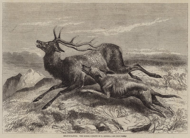 Deer-Stalking, Chace tekijältä Richard Ansdell