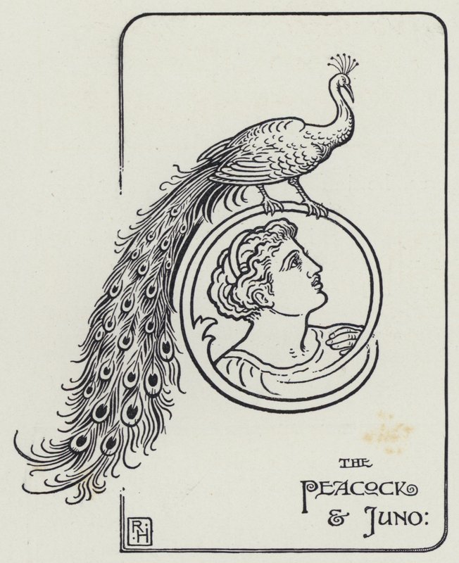 Peacock and Juno (kaiverrus) tekijältä Richard Heighway