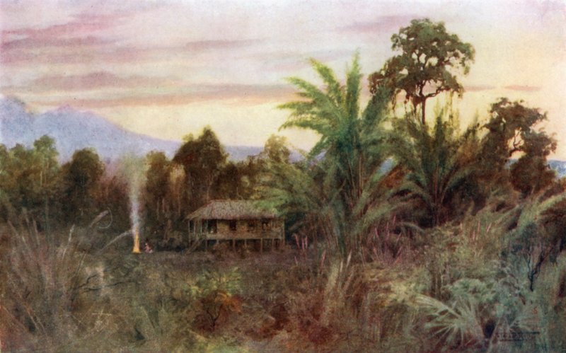 Metsä Tai tekijältä Robert George Talbot Kelly