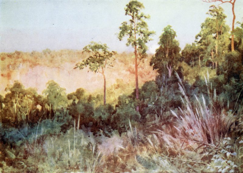 Viidakko Lashio-linjalla tekijältä Robert George Talbot Kelly