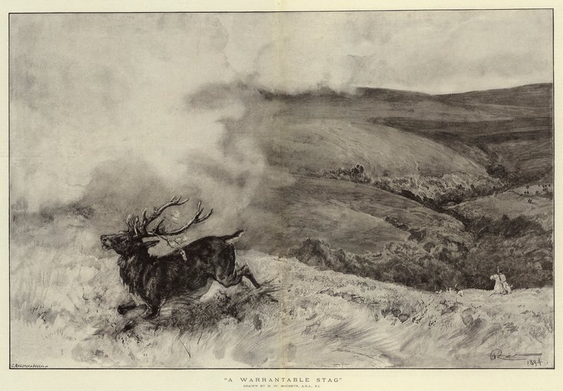 Oikeutettu hirvi tekijältä Robert Walker Macbeth