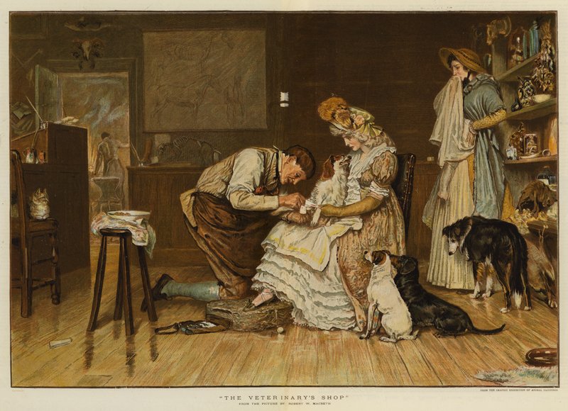 Eläinlääkärin myymälä (kromoliittinen) tekijältä Robert Walker Macbeth