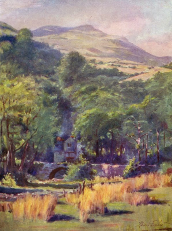 Duffws Mountain (väri litho) tekijältä Robert (after) Fowler