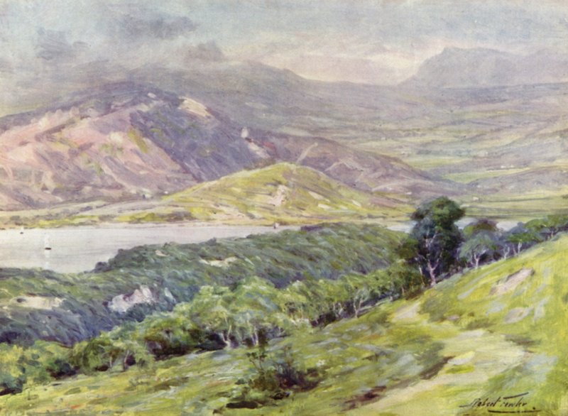 Duffws Mountain in Mist (väri litho) tekijältä Robert (after) Fowler