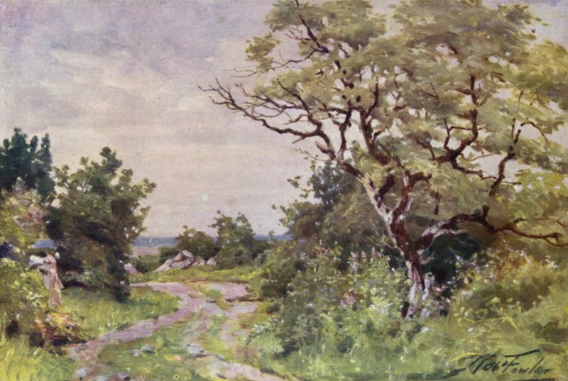 Field Path, lähellä Llanrugia (väri litho) tekijältä Robert (after) Fowler