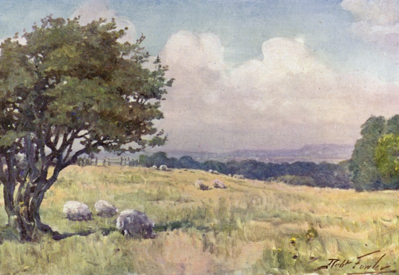 Sunny Field, lähellä Llanberis (väri litho) tekijältä Robert (after) Fowler