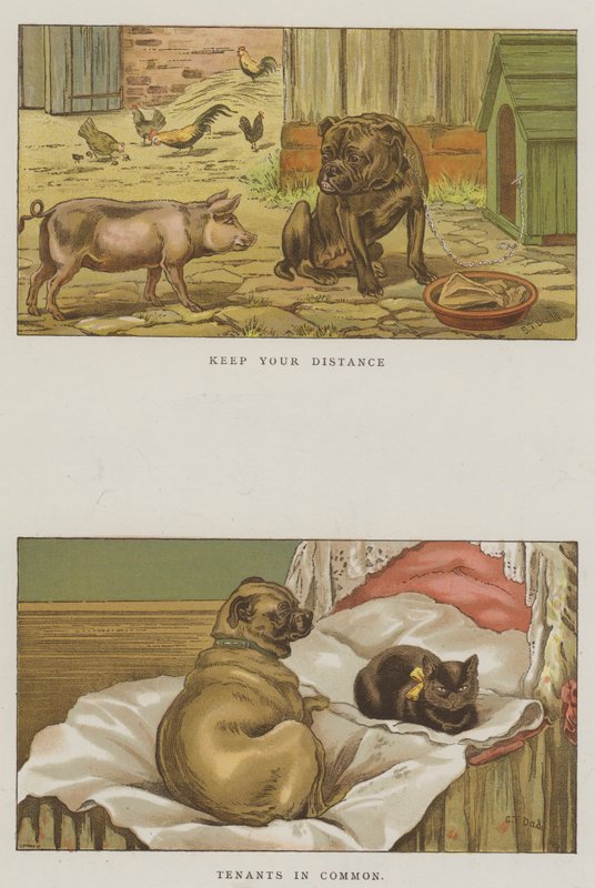 Humoristiset koirat (chromolitho) tekijältä S.T. Dadd