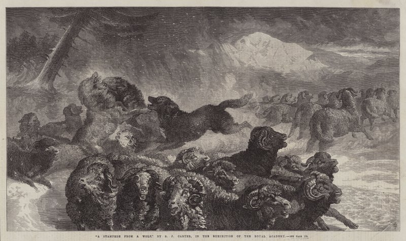 Myrsky sudelta tekijältä Samuel John Carter