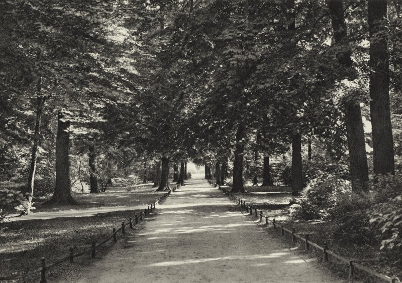 Berliini: Tiergarten (m/w kuva) tekijältä Sasha Stone