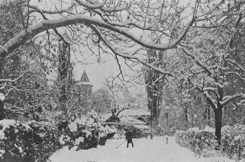 Neuchatel, englantilainen puutarha (m/w kuva) tekijältä Swiss Photographer