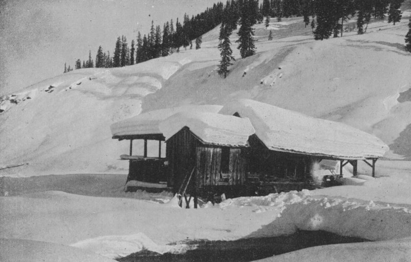 Saha lähellä Davosia (m/w kuva) tekijältä Swiss Photographer