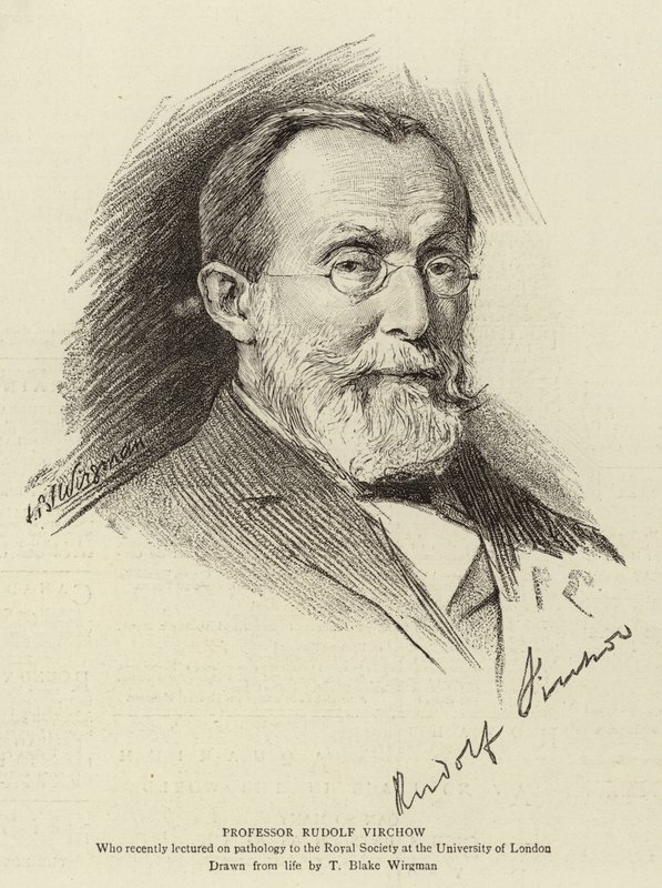 Professori Rudolf Virchow tekijältä Theodore Blake Wirgman
