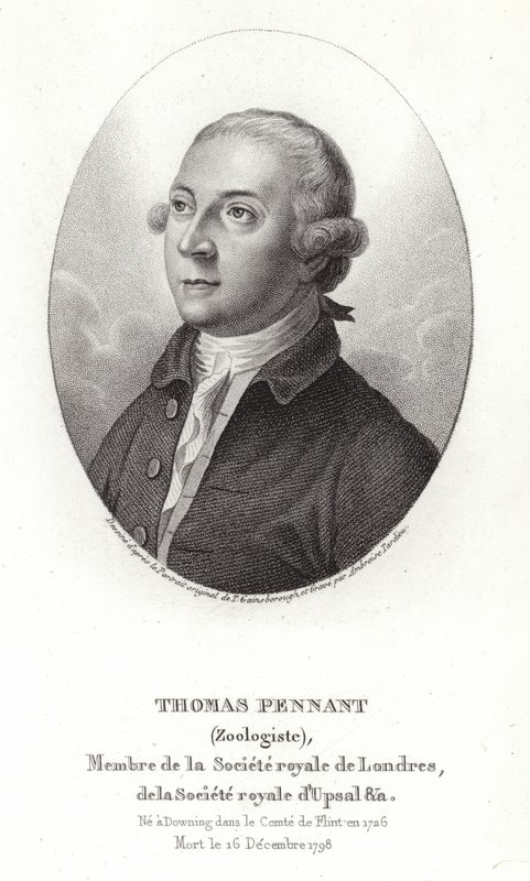 Thomas Viiri tekijältä Thomas Gainsborough
