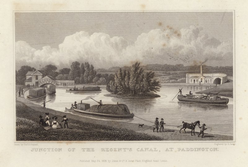 Regent