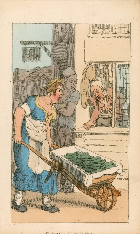 Kurkut tekijältä Thomas Rowlandson