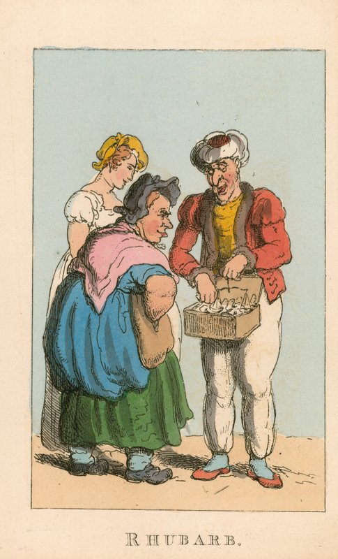 Raparperi tekijältä Thomas Rowlandson