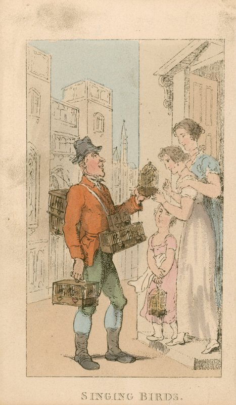 Lintujen laulu tekijältä Thomas Rowlandson