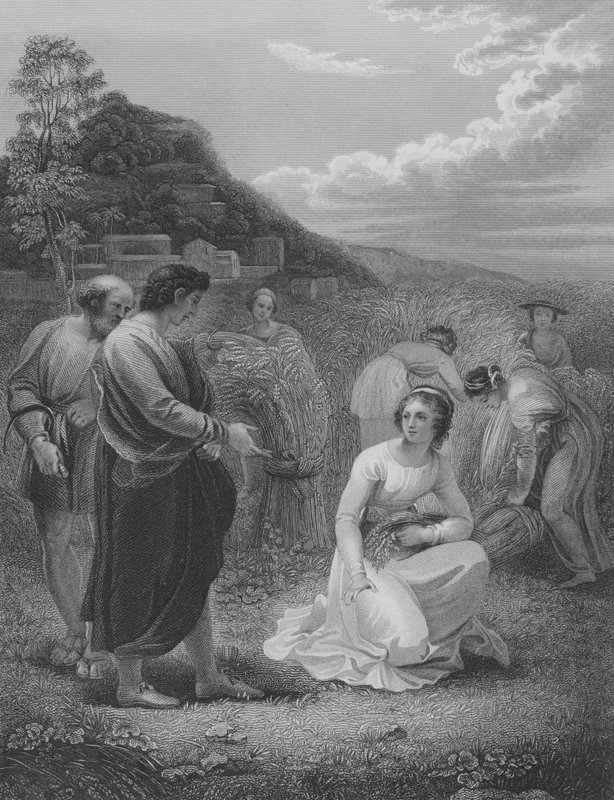 Ruth Gleaning, Ruth 2, jae 1-15 tekijältä Thomas Stothard