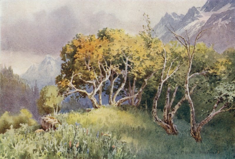 Leirintäalueen yläpuolella, Sonamarg, Sind Valley tekijältä Unbekannt Unbekannt