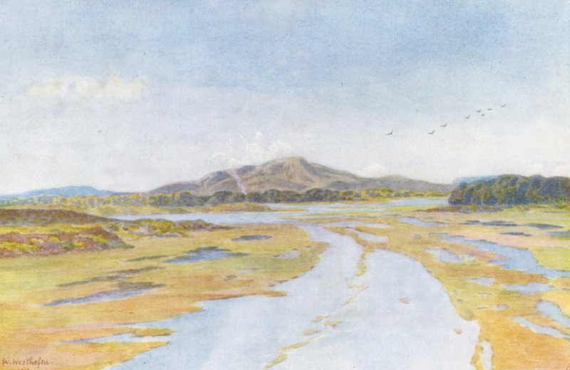 Tigerberg ja Diep-joki (värilitro) tekijältä Wilhelm Westhofen